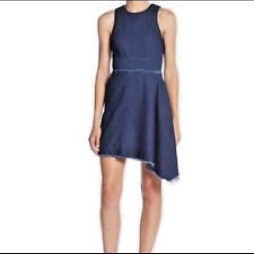 N/Nicolas denim dress